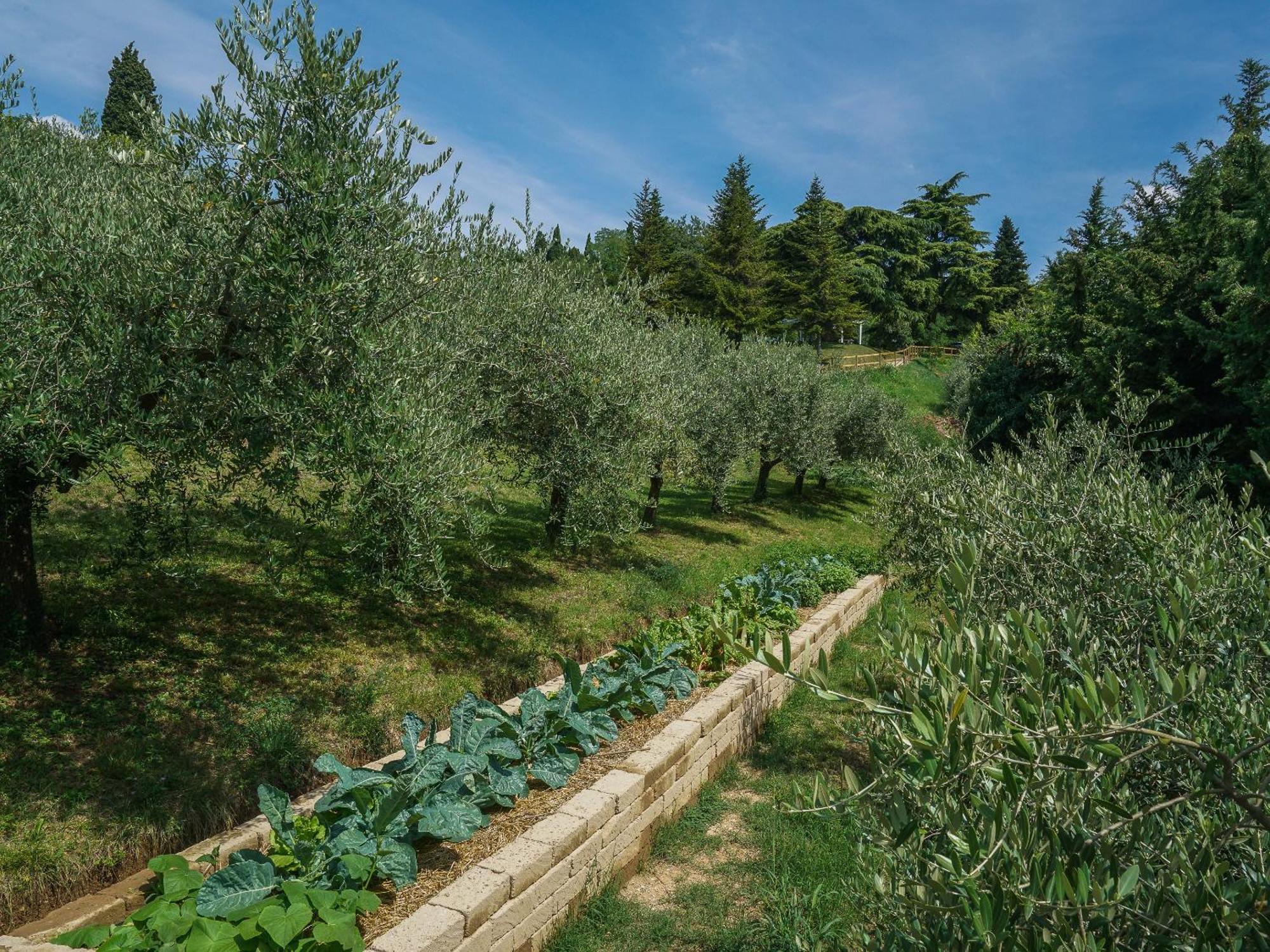 Ca Toresele Relais Osteria Garden 维罗纳 外观 照片