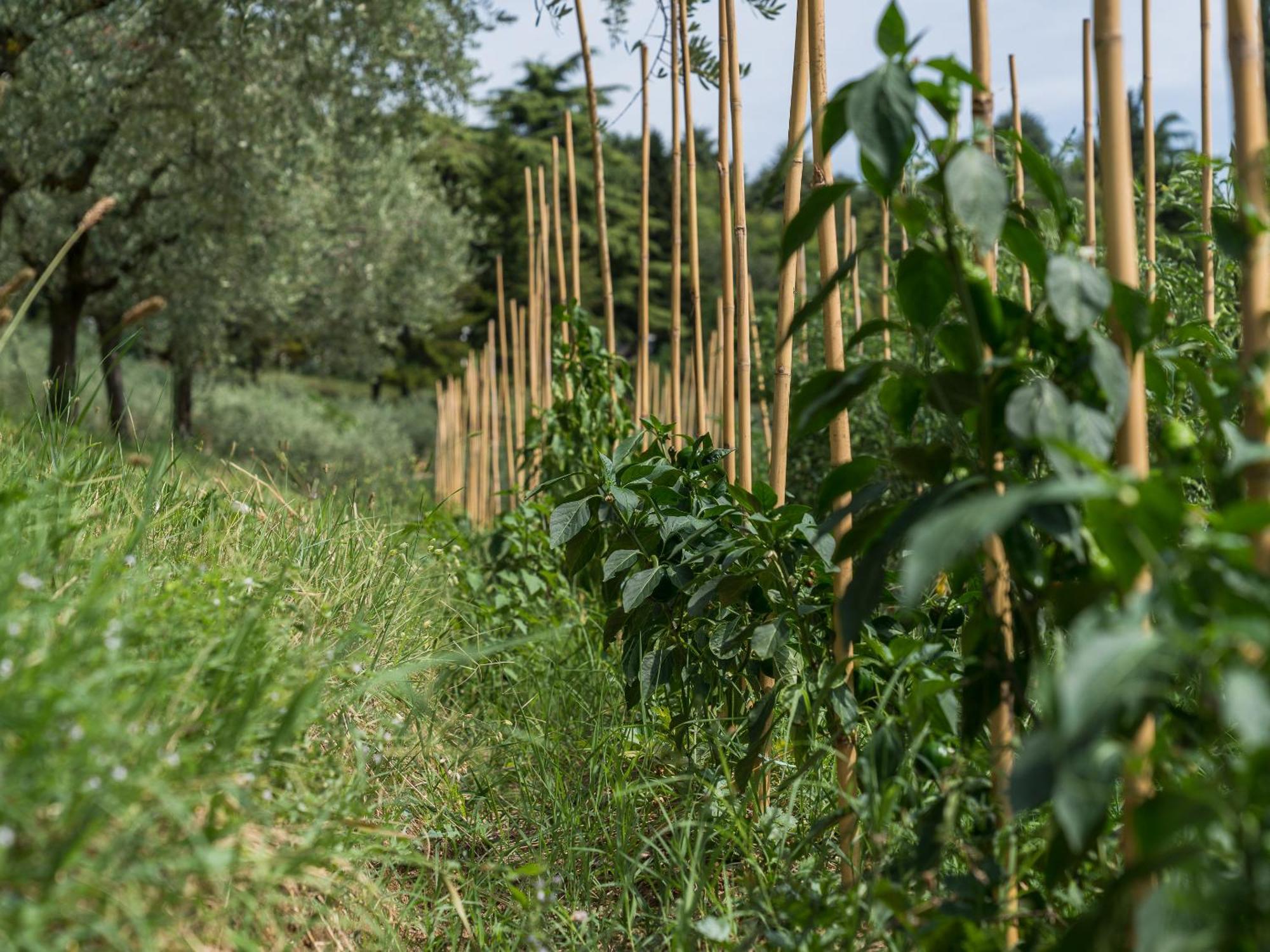 Ca Toresele Relais Osteria Garden 维罗纳 外观 照片